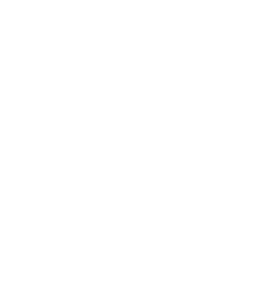 Finanziato dall'Unione Europea